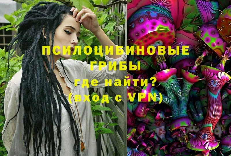 Псилоцибиновые грибы Magic Shrooms  купить  цена  Оханск 